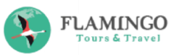 Flamingo tours